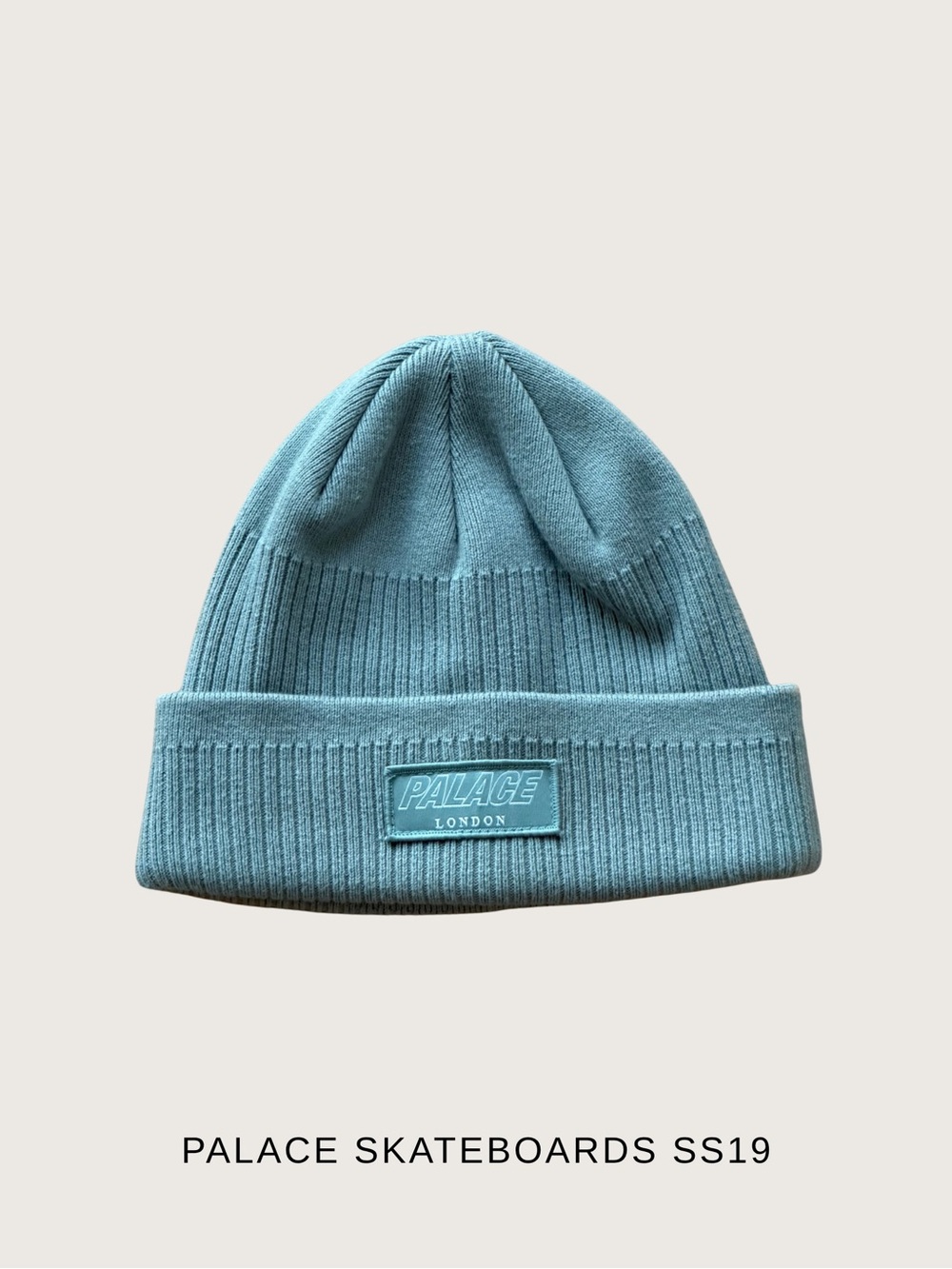 NWOT PALACE SKATEBOARDS D-RIB Beanie Green